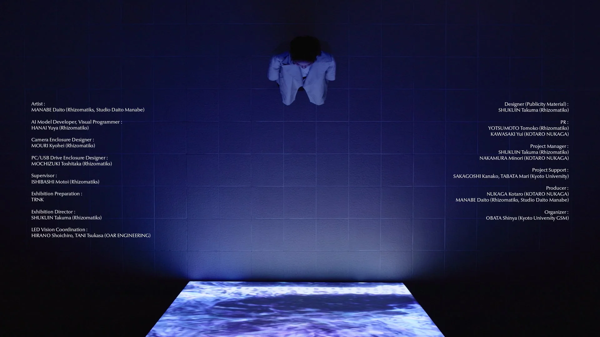 Rhizomatiksの展示風景