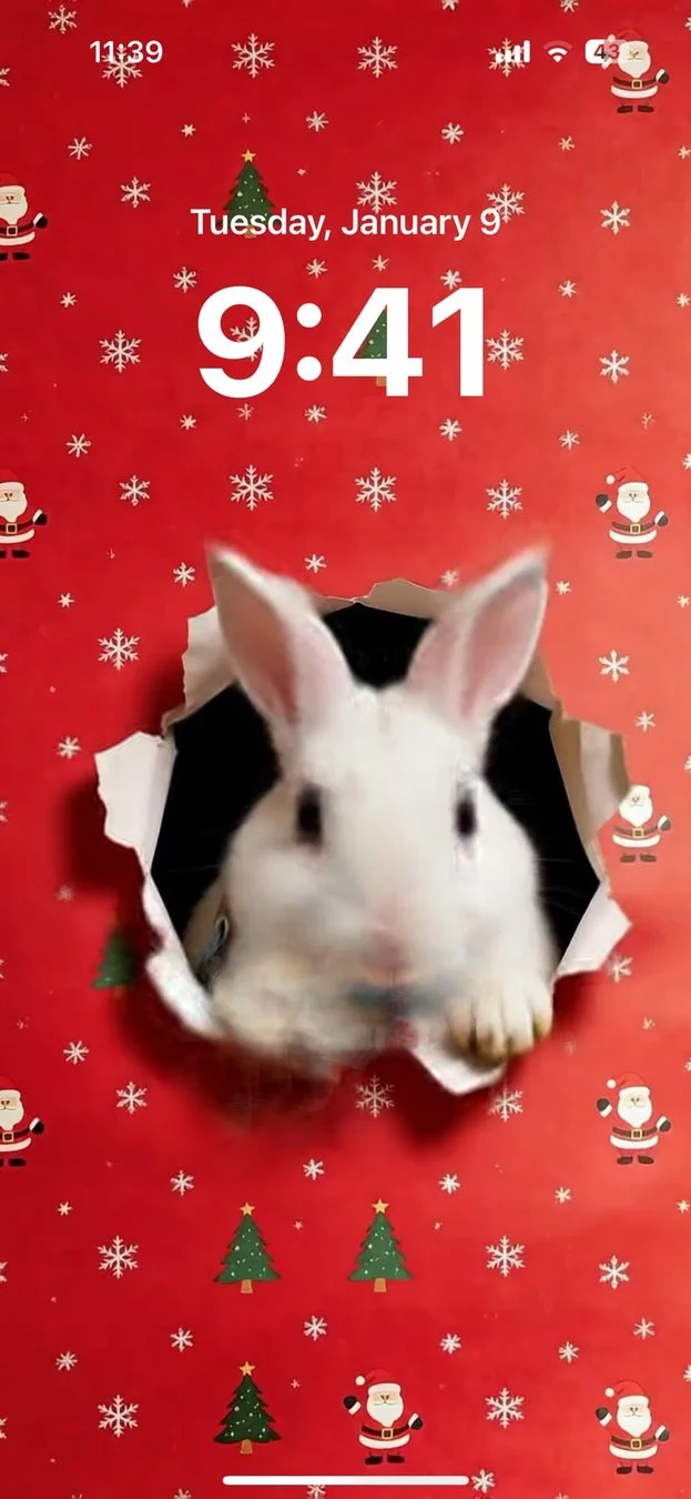 ライブ壁紙 破れ紙ショットVer. クリスマスの紙