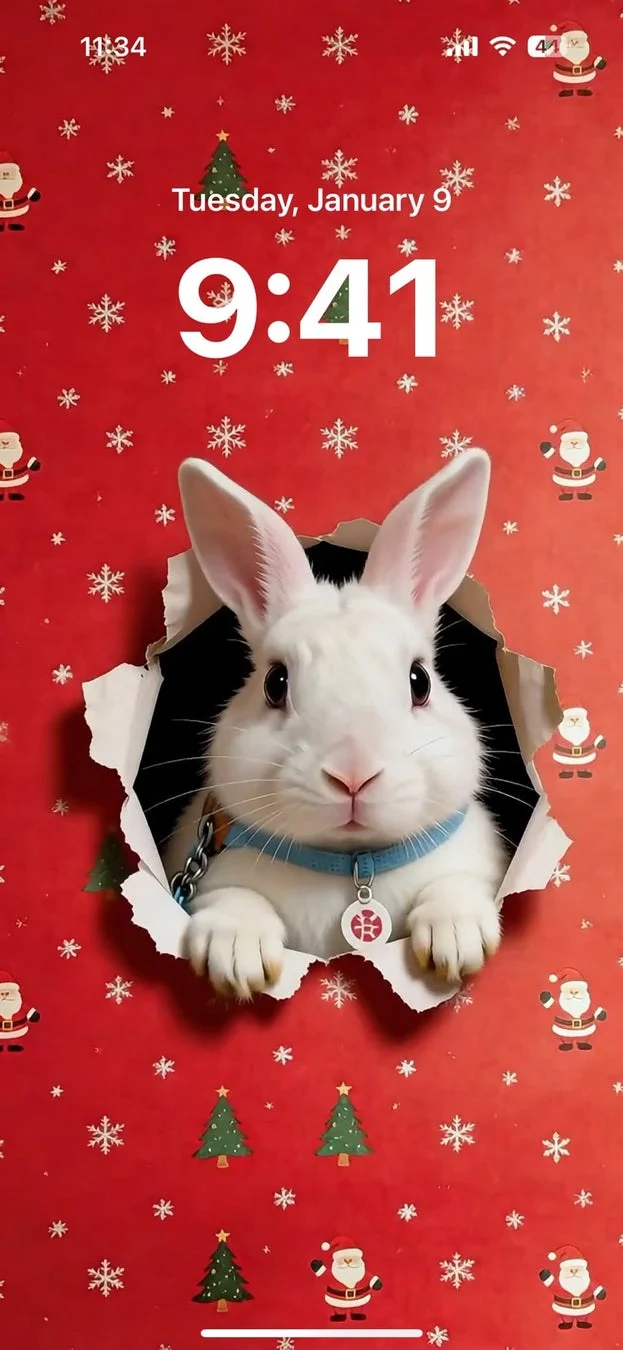 ライブ壁紙 破れ紙ショットVer. 推しが紙を破く