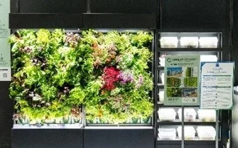 垂直農法システム