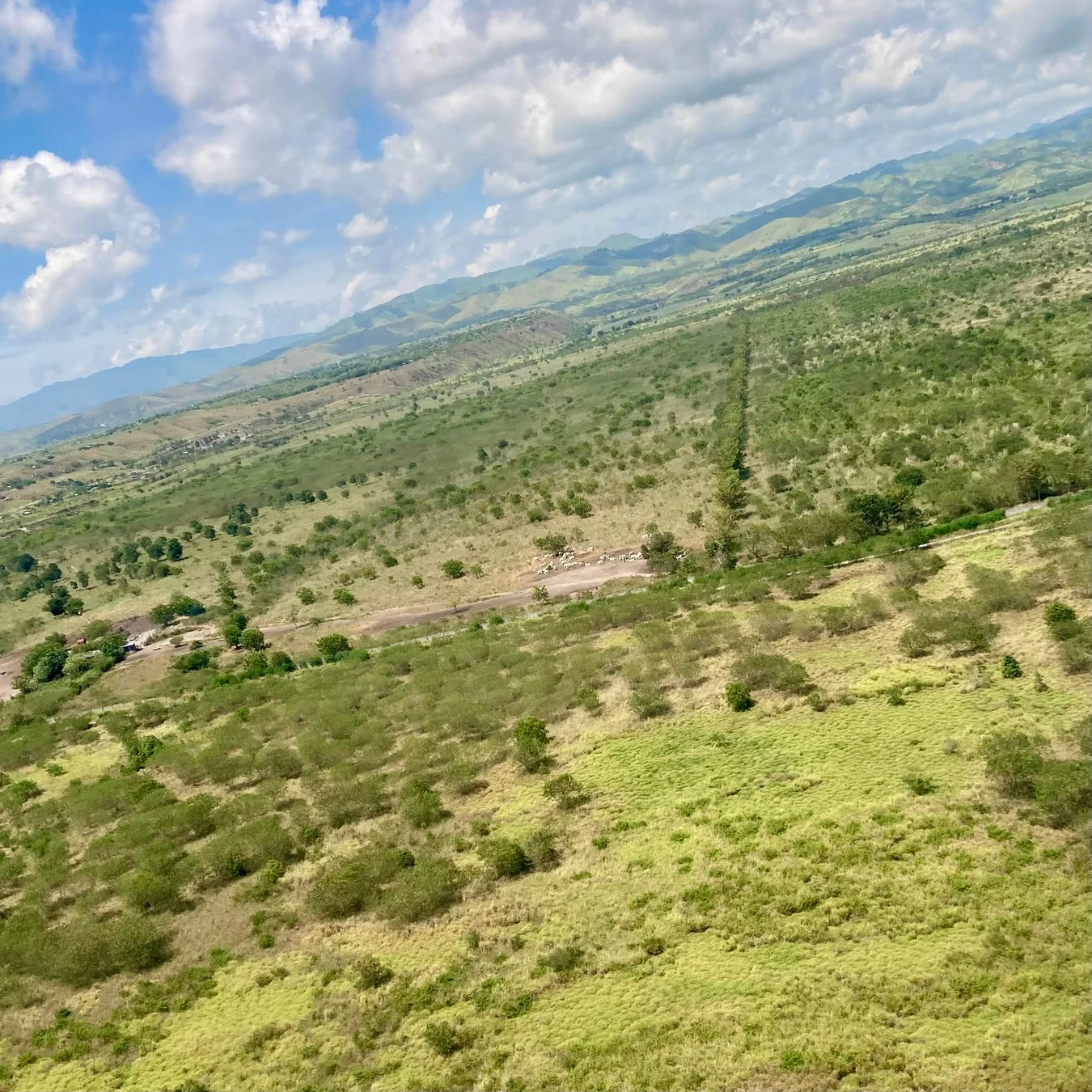 広大な緑の丘陵地帯の航空写真