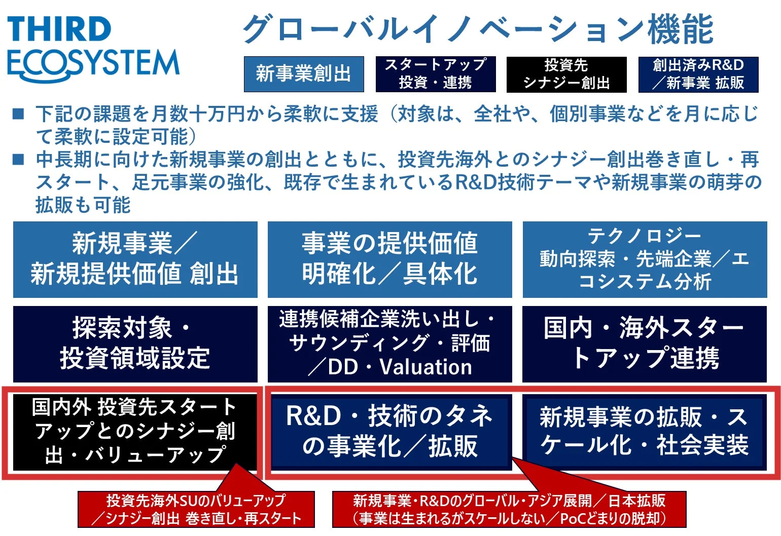 THIRD ECOSYSTEMのグローバルイノベーション機能