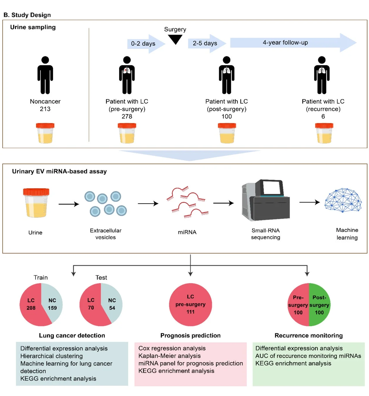 尿中EV miRNAを用いた肺がん検出、予後予測、再発モニタリングの研究デザイン