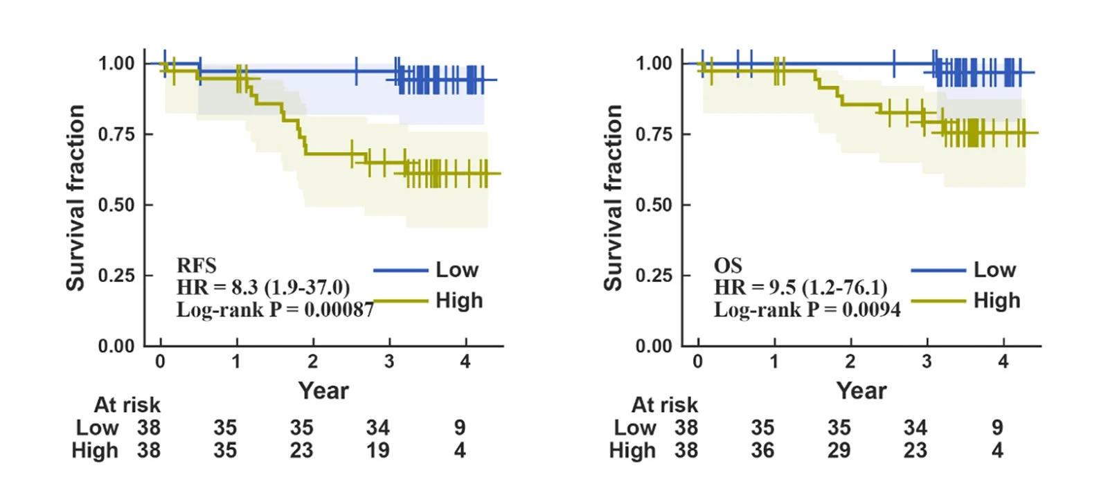 低リスク群と高リスク群における再発なし生存率（RFS）と全生存率（OS）を比較したカプランマイヤー曲線
