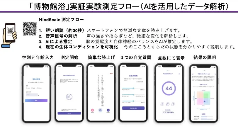 MindScale測定フロー