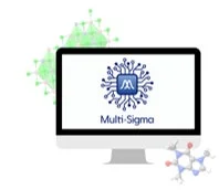 Multi-Sigmaのイメージ