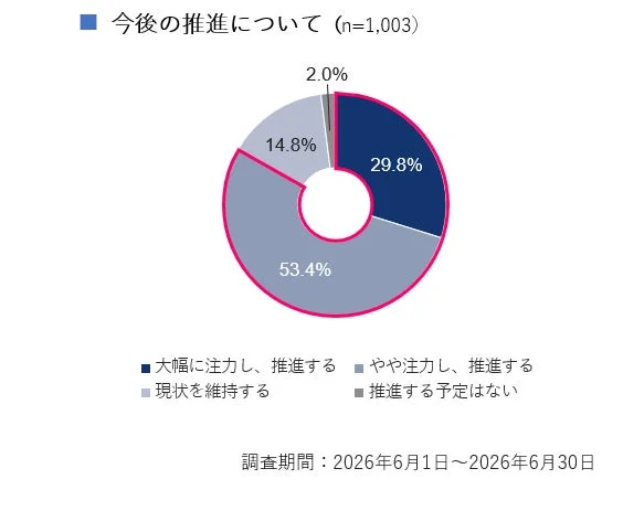 今後の推進について