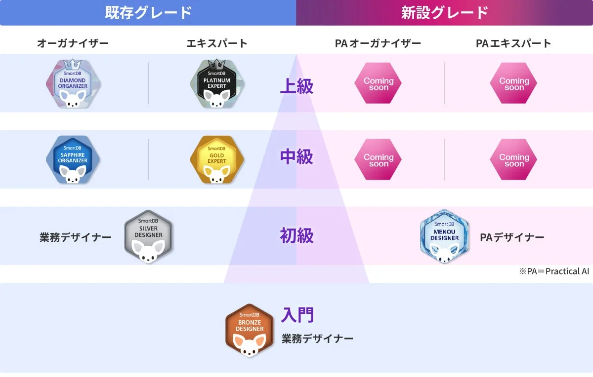 6種類・11グレードのSmartDB認定資格制度(SCS)